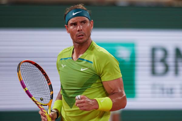 知更鸟常作 知更鸟常作